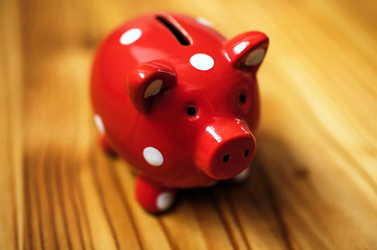 piggy savings bank