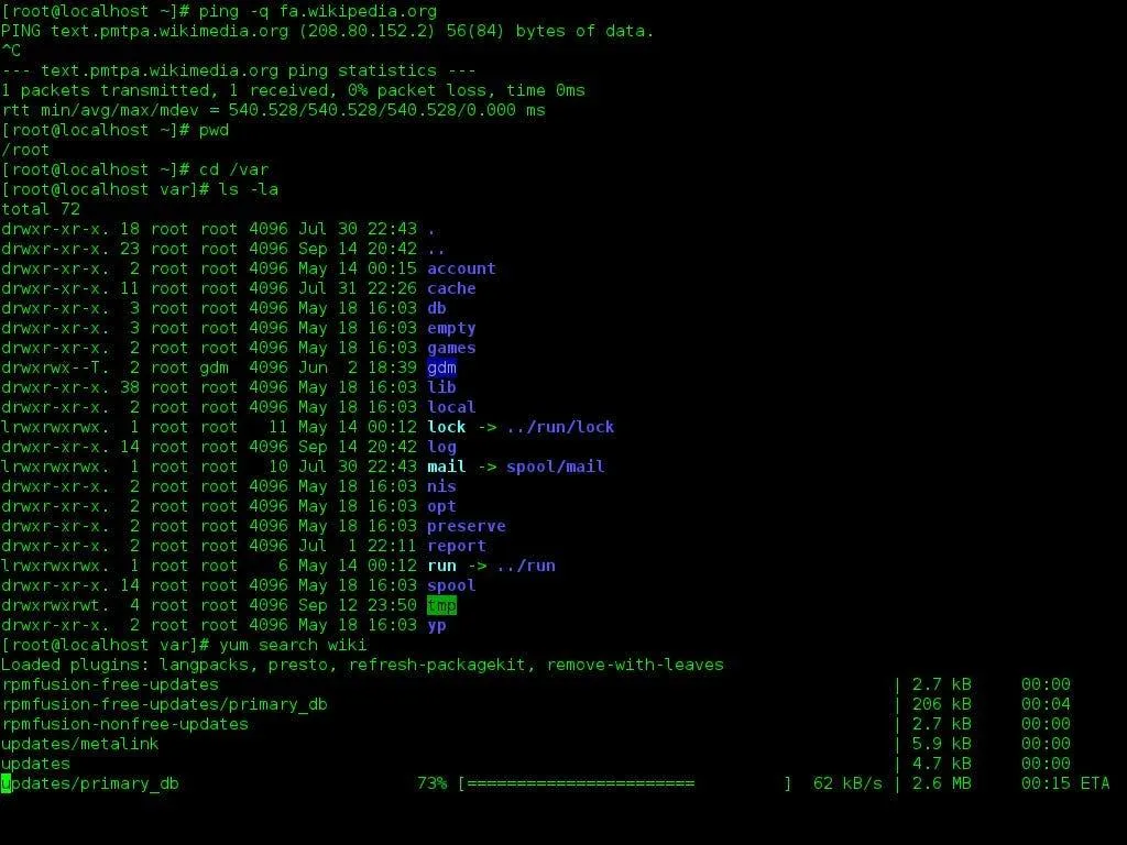 Why Do We Still Use Terminals? The Journey of the Black Screen That Shaped  Computing | by Pedro_aoc | Medium