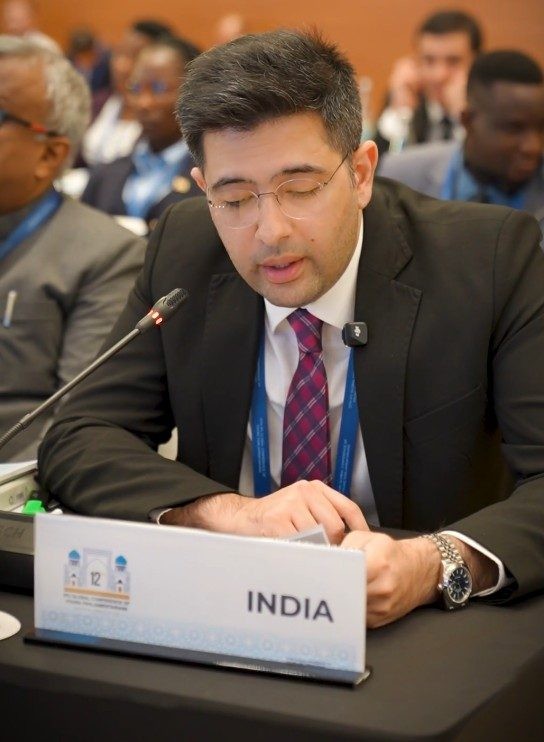 India has shown digital scale and inclusion can go hand in hand: Raghav ...