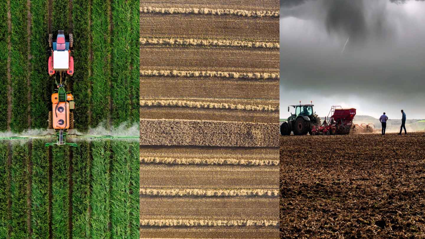 Jaishankar's Food Crisis Warning: What the Data Shows